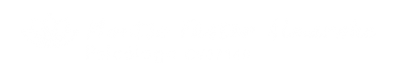 Montse Fúster Almarche psicólogo